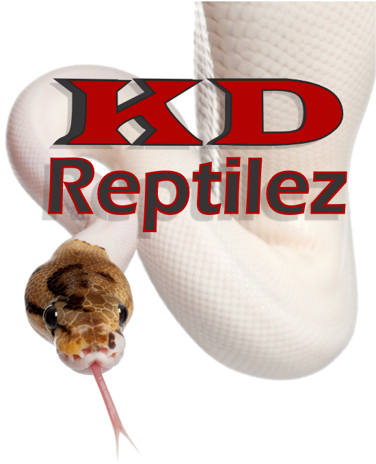 KD Reptilez